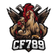 CF789 art