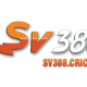 sv388cricket