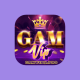gamvipxpro1