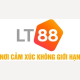 lt88icu1