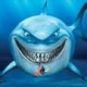 sertshark