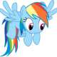 DashieBro