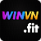 winvn_fit