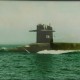 SubVet608