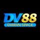 dv88vnspace1