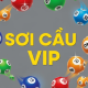 soicauvipnq