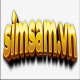 simsamvn2024