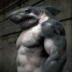 sharkkiss