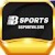 bsportvnsite