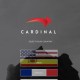 Web Designer Dallas