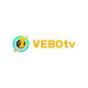 vebottbd_online