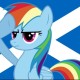 Scottish Brony