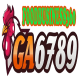 ga6789busines