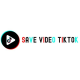 Save Video Tiktok