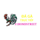 Đá Gà Cựa Dao 
