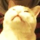Avatar of ryonkmr