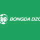 bongdadzo2