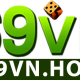 69vn