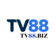 tv88biz1