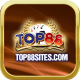 top88sites1