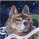The Old Wolf