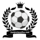 zuqiutouzhune