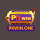 PKWIN