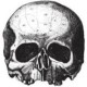 sdmf74