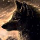SteppenWolF