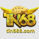 tincom1