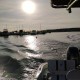 Beachcruzin