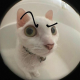 Avatar of konnn04