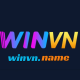 winvnnam