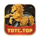 TDTC 