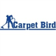Carpet Bird Limited