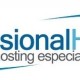 Profesional Hosting