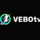 vebotvnetvn