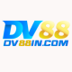 dv88incom1