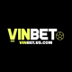 vinbetusco