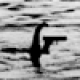 The