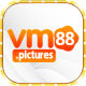 vm88pictures