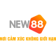 newvicomvn