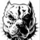 madpitbull