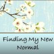 findmynewnormal