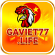 gaviet77.life