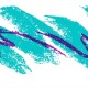 MetaPwn