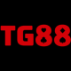 stg88co