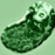 beanfair