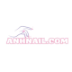 anhnailcom1