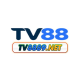 tv8889net1